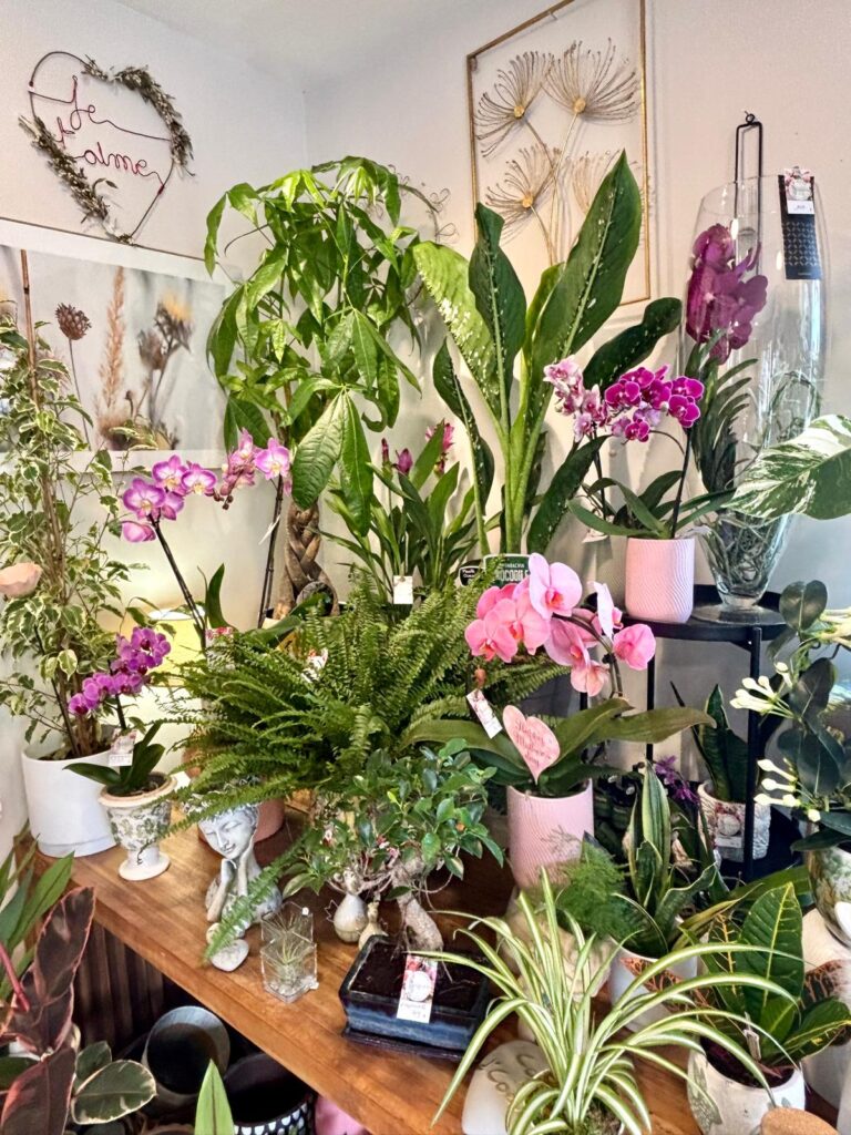 flormandise-cocon-floral