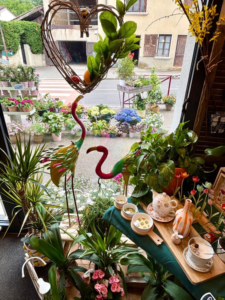 flormandise-decoration-plantes